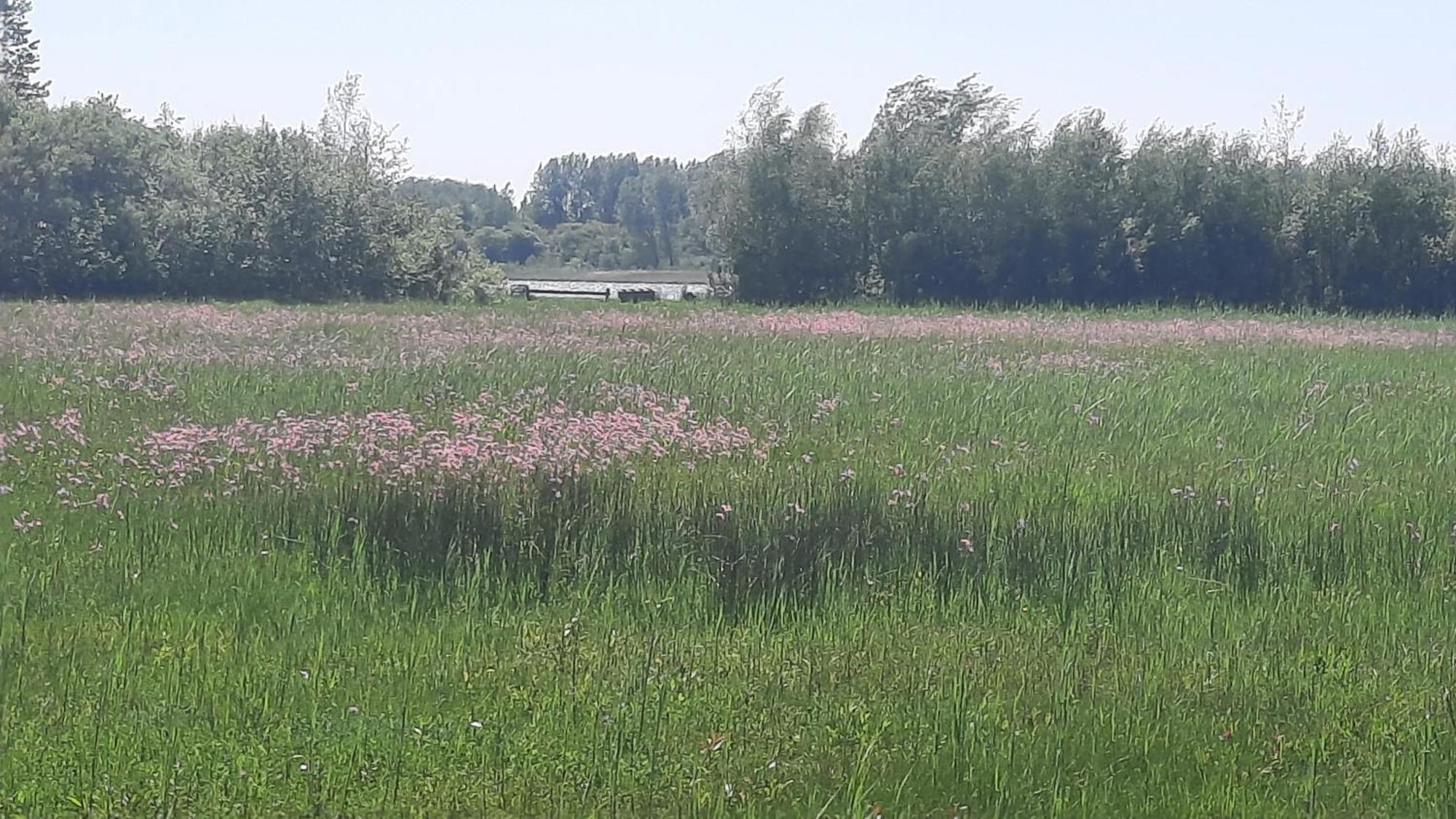 Chalet Trigano 1-6 Pers- 3 Slaapk- 2 Badk- Berging- Inchecken Al Vanaf 13 Uur Лауверсоґ Екстер'єр фото